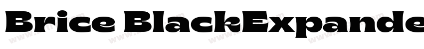 Brice BlackExpanded字体转换